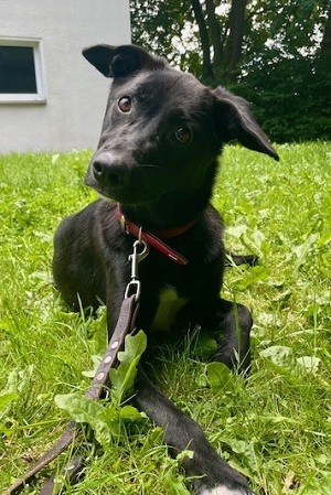 Ella