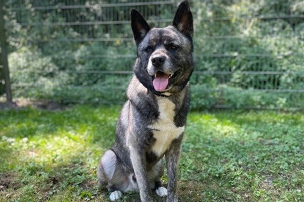 Tier der Woche - Nori
