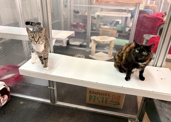 Tier der Woche - Milla und Constanze