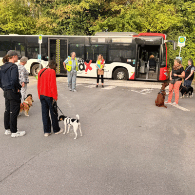 Bild vergr&ouml;&szlig;ern: EMW-2026-Hundebusschule-14.09