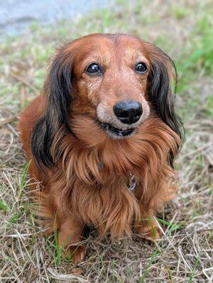 Bild vergr&ouml;&szlig;ern: Oskar