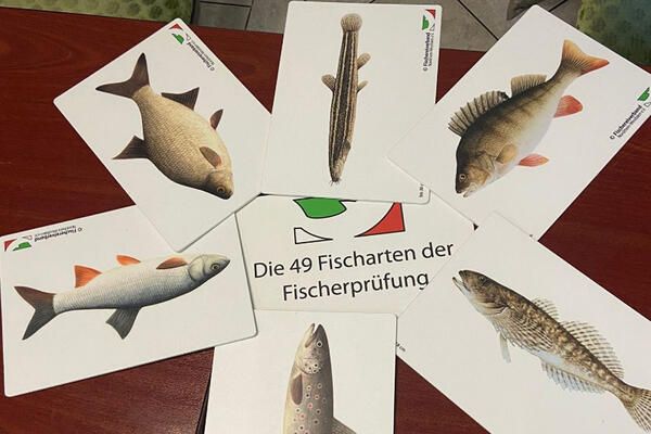 Fischkarten