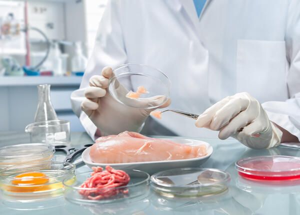 lebensmittelüberwachung im Labor von Fleisch und Eiern