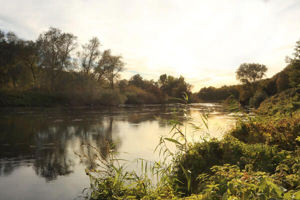 Ein Fluss mit grüner Natur