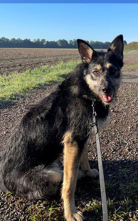 Bild vergrößern: Hannah