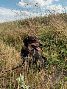 Bild vergrößern: 20230702_154524