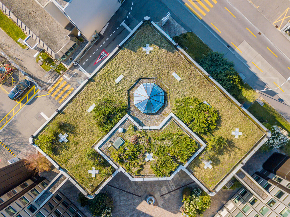 Bild vergrößern: Aerial view of rooftop garden in urban residential area