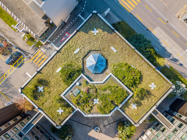 Aerial view of rooftop garden in urban residential area