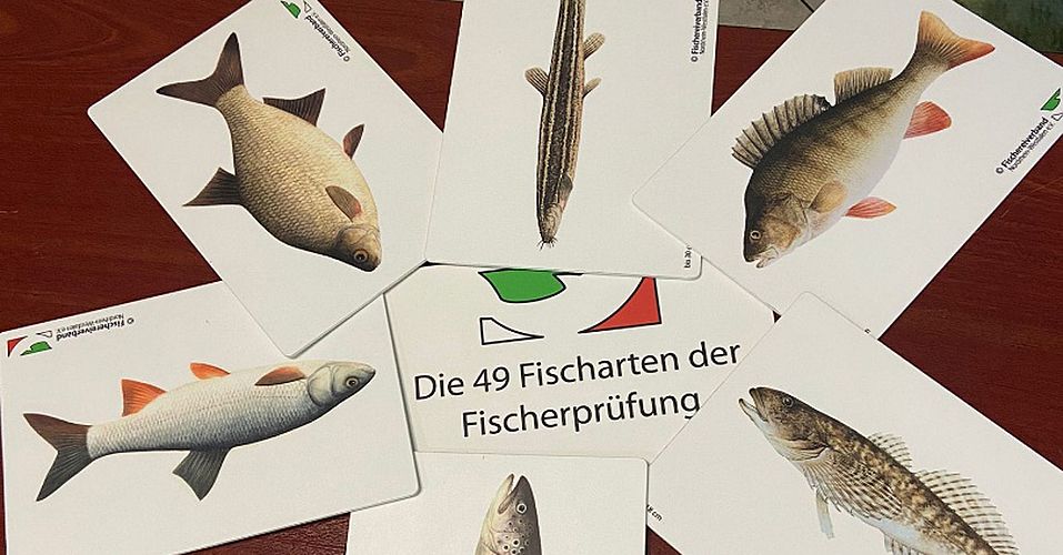 Bild vergrößern: Foto: Fischerprüfung