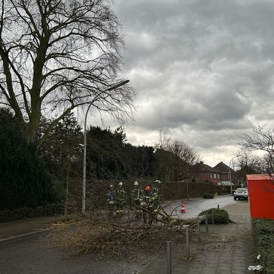 Bild vergrößern: (6) Feuerwehr im Einsatz Foto Feuerwehren Kreis Unna