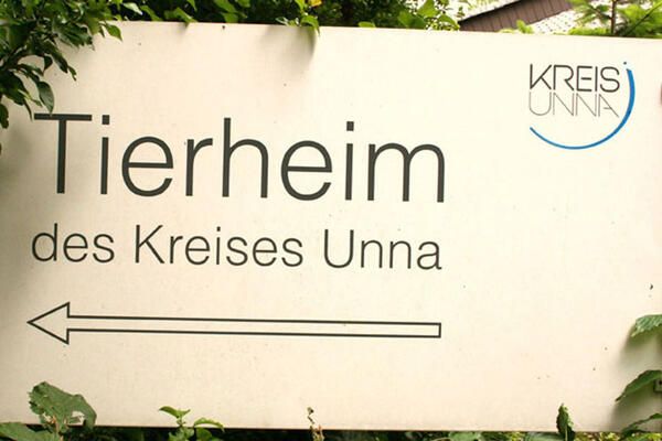 Tierheim Kreis Unna