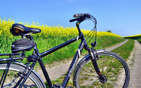 Bild vergrößern: Fahrrad in Feld