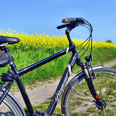 Fahrrad in Feld 